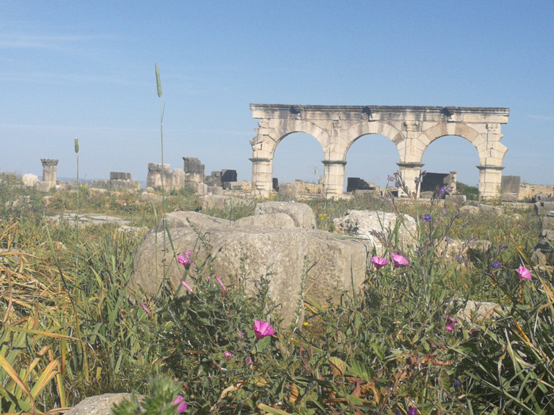 marocco (223)