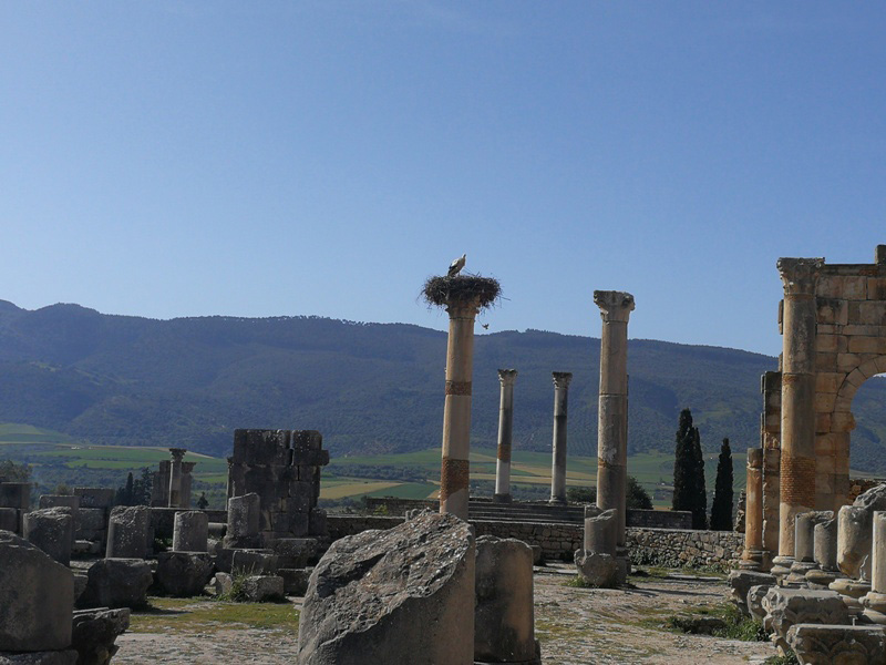 marocco (242)