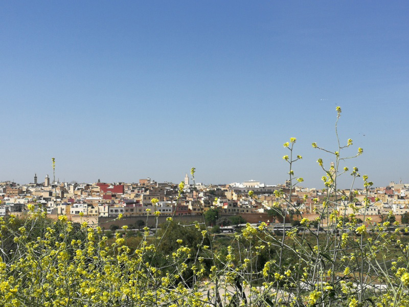 marocco (245)