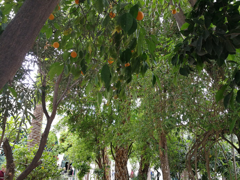 marocco (389)