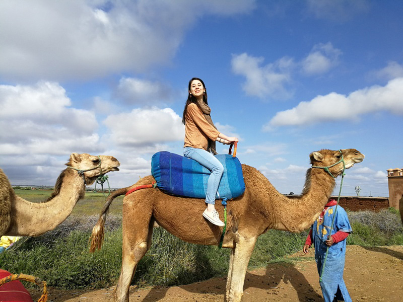 marocco (444)