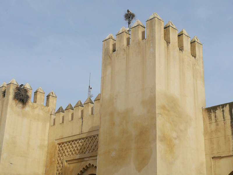marocco (46)