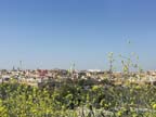 marocco (245)
