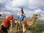 marocco (443)