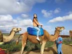 marocco (444)