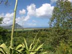 mauritius-natura (1)