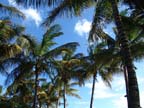 mauritius-spiaggia (4)