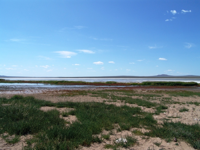 b-gobi-centrale (18)