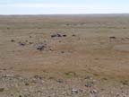 b-gobi-centrale (71)