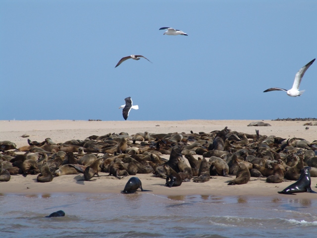 walvis bay (28)