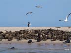 walvis bay (28)