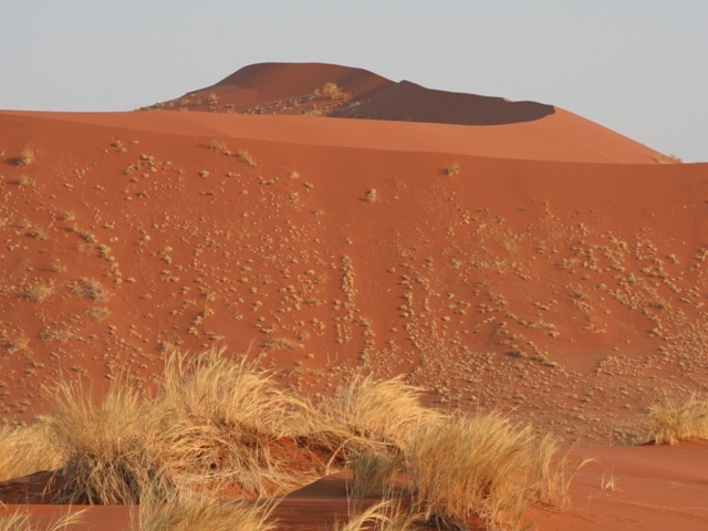 sossusvlei park (25)
