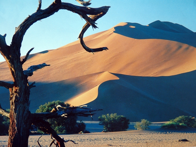 sossusvlei park (57)