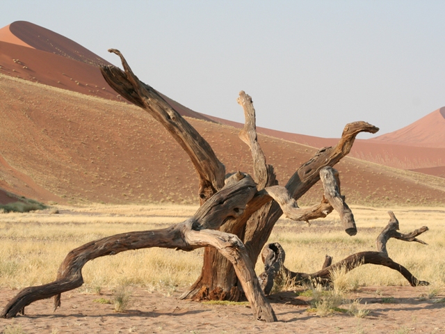 sossusvlei park (63)