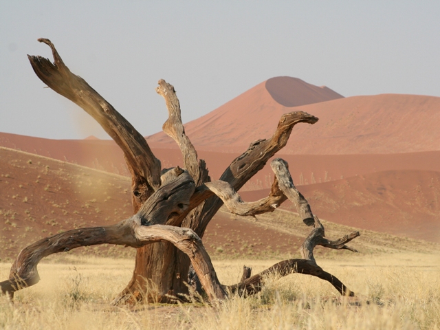 sossusvlei park (64)