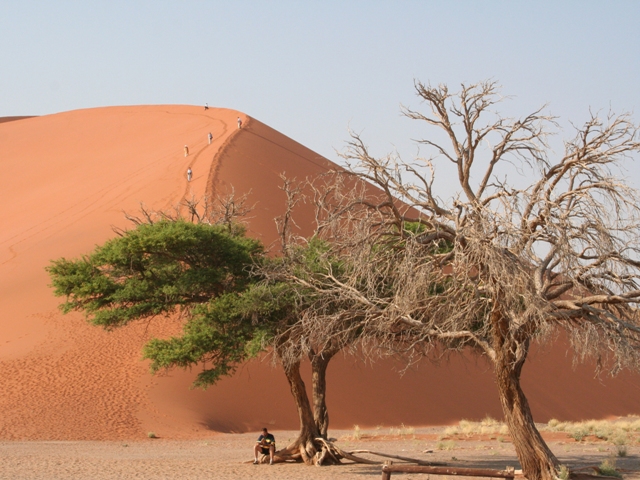 sossusvlei park (73)