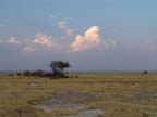 etosha (69)