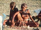 himba (103)