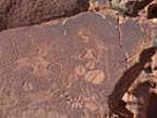 twyfelfontein (14)