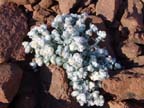 twyfelfontein (2)