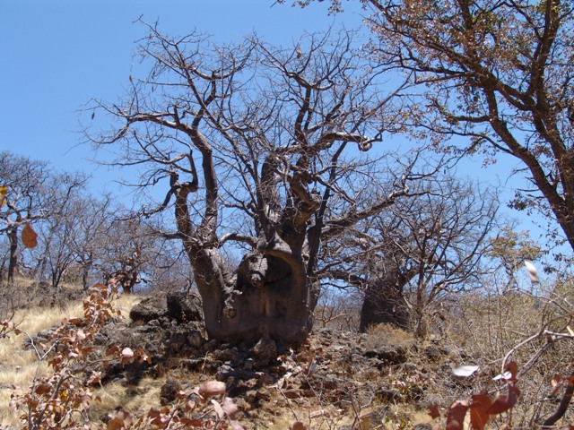 kaokoland (7)