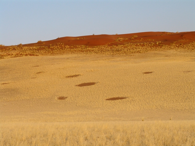 sossusvlei park (16)