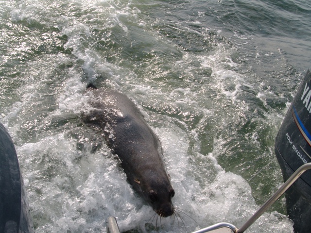 walvis bay (12)