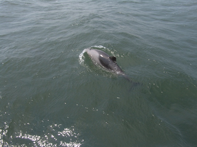walvis bay (48)
