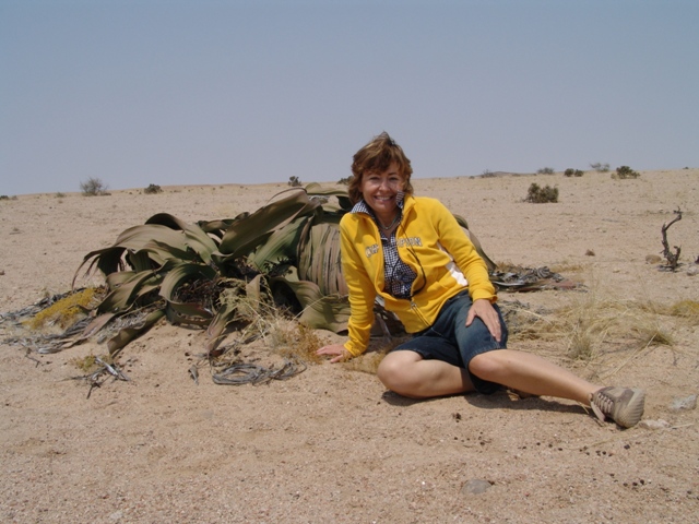 welwitschia mirabilia (4)