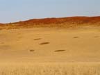 sossusvlei park (16)