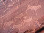 twyfelfontein (15)