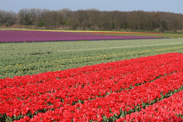 olanda-2013 (22)