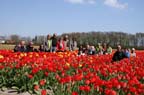 olanda-2013 (31)