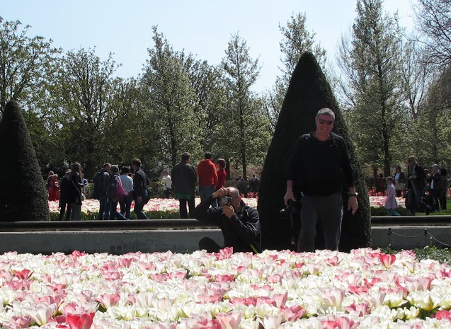olanda-2013 (55)