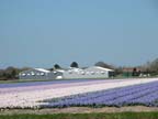 olanda-2013 (48)