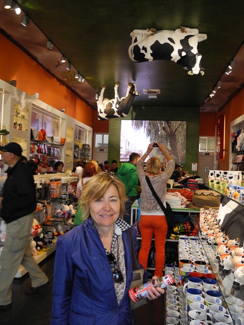 olanda-2013 (331)