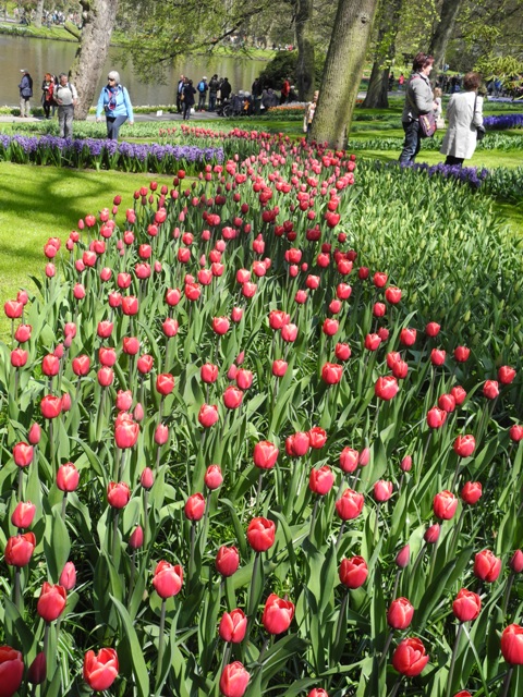 olanda-2013 (390)