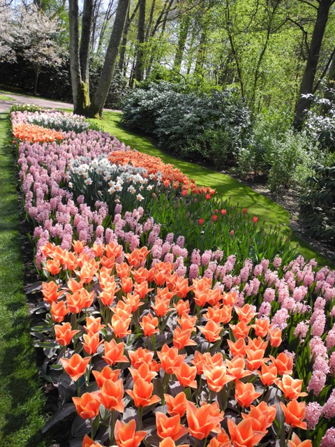 olanda-2013 (74)
