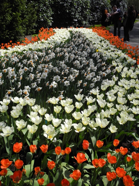 olanda-2013 (76)