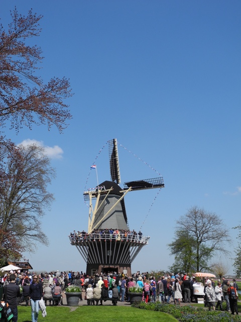 olanda-2013 (81)