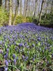 olanda-2013 (378)