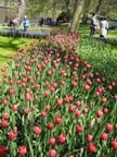 olanda-2013 (390)