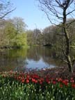 olanda-2013 (394)