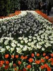 olanda-2013 (76)