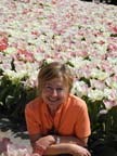 olanda-2013 (85)