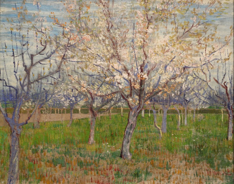 olanda-2013 (207)