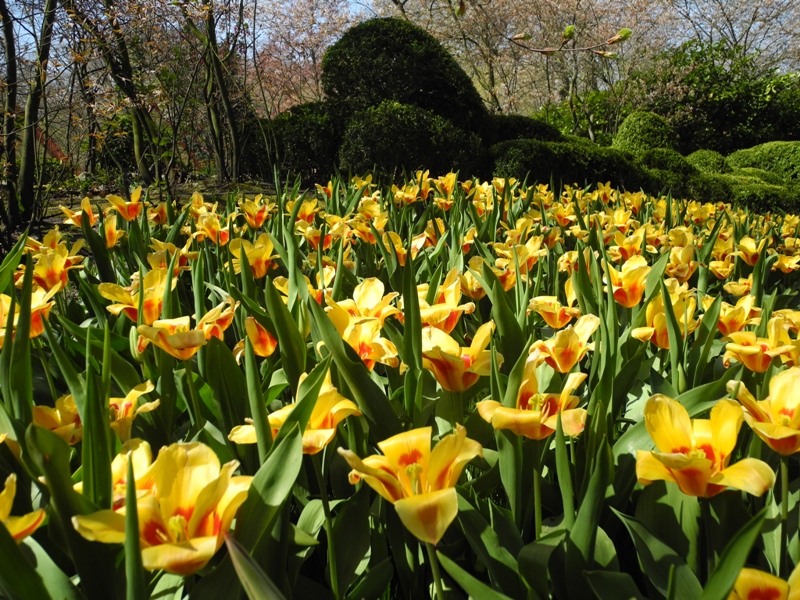 olanda-2013 (392)