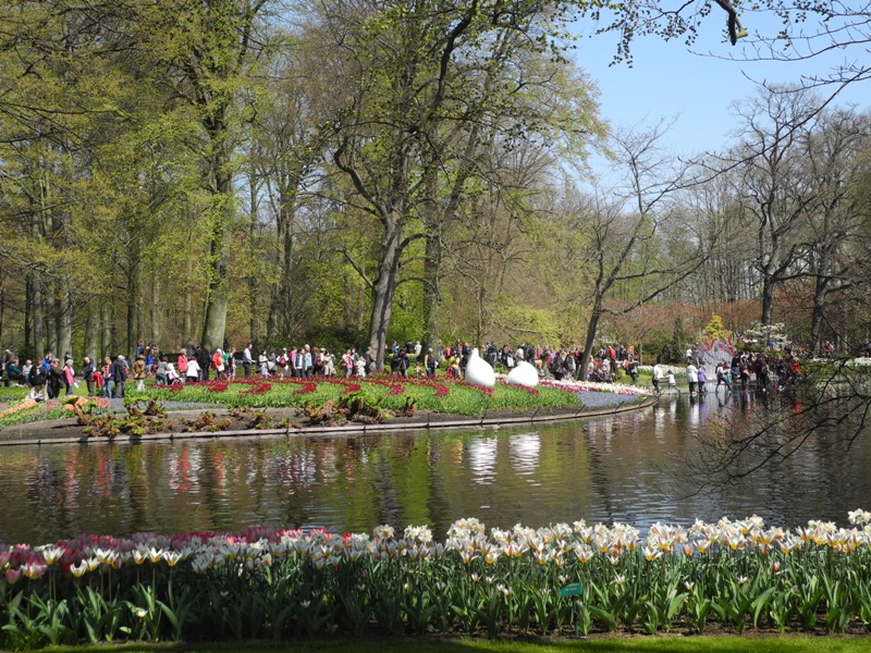 olanda-2013 (395)