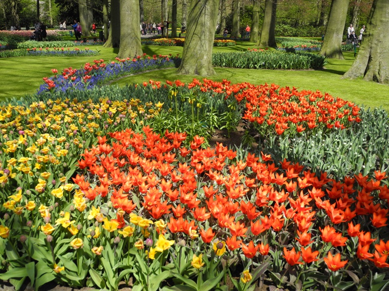 olanda-2013 (67)