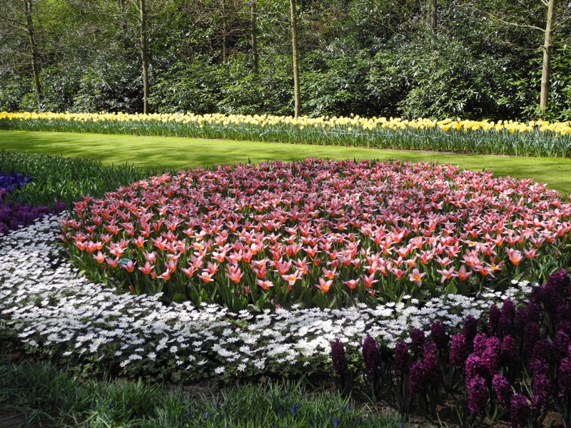 olanda-2013 (73)